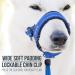 GoodBoy Dog Halter - Nylon Blue | Pack of 4 | Quality Dog Harnesses for Comfortable International Shipping - Buy Online on GoSupps.com
