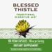 Nature's Way Blessed Thistle 390 mg - 100 Vegetarian Capsules for Digestive Health - Buy Online on GoSupps.com
