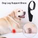 Dog Hinds Leg Support | Dog Leg Protector High Elasticity Hip Support Breathable Dog Leg Protector with Metal Strip for Small Dog Hersil Black Medium - Buy Online on GoSupps.com
