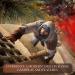 Buy Assassins Creed: Mirage for PS5 - International Shipping Available | Best Prices & Fast Delivery - Buy Online on GoSupps.com
