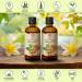Buy 2x100ml Cold Pressed Walnut Oil - Pure Juglans Regia Seed Oil for Face & Body Care - USA Import - Buy Online on GoSupps.com
