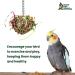 Sweet Feet and Beak Super Shredder Ball - Non-Toxic Bird Foraging Toy (3 inch) - Buy Online on GoSupps.com