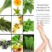 Green Idea Lym Research Gel - 250ml | Stimulates Lymphatic System & Drains Toxins with 15 Herbs & Essential Oils - Effective Regeneration - Buy Online on GoSupps.com