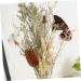 Cabilock Natural Dried Flowers 30 Pcs Natural Artificial Flower Decorative Artificial Flower As Shownx2pcs mediumx2pcs - Buy Online on GoSupps.com