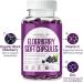 DoseOfQuiet Elderberry Capsules - Gut Support Complex Organic Black Elderberry Soft Capsules with Vitamin C and Zinc Promote Gut Health & Boost Energy (1) - Buy Online on GoSupps.com