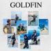 GoldFin Men Neoprene Wetsuit Shorts 3mm Navy Large | Ideal for Water Sports - Buy Online on GoSupps.com
