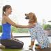 YeaPeeto One-Divider for Dogs - Relaxation Pajamas for Large & Medium Dogs | Anti-Lick Wound Protection Hair Loss Solution | Cone Alternative (2XL Bear) - Buy Online on GoSupps.com