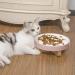 Raised Ceramic Cat Slow Feeder Bowl with Stand - Fish Bone-Pink, 3 Inches High, 8.5'' Wide - Healthy Eating Diet Solution for Cats and Dogs - Buy Online on GoSupps.com