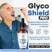 (5 Pack) Glyco Shield Drops - Official GlycoShield Pro Blood Formula Support Supplement Drops - Maximum Strength Original Natural to Overall Wellness and Support Health Reviews 5 Bottles for 5 Months - Buy Online on GoSupps.com