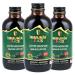 Immunia KIDS - Elderberry Supplement for Kids. Canadian Elderberry & Wild blueberry concentrated. Immune support. Delicious taste. No sugar added. Made in Canada with fruits from Canada (3 bottles) 120 ml (Pack of 3)