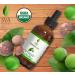 SVA Organics 100% Pure Tamanu Oil 4 Oz - USDA Certified Organic - Premium Therapeutic Grade for Face, Hair, and Body Massage - Buy Online on GoSupps.com