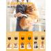 Dog Clippers Professional Dog Grooming Clippers for Thick Coats Hair Rechargeable Low Noise Cordless Pet Hair Trimmer Shaver Kit with Ceramic Blade LED Display Pet Cat Clippers for Dogs Cats - Buy Online on GoSupps.com