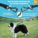 Buy Aystkniet Bungee Dog Drag Line - Shock-Absorbing Leash with Padded Handle & Lockable Hook | 3m 5m 10m 15m 20m 30m | Ideal for Medium & Large Dogs | Reflective Threads | International Shipping - Buy Online on GoSupps.com