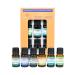 Thien an - Set of 6 Essential Oils Rosemary Camphor Lemongrass Peppermint Holy Basil Eucalyptus Scents with 6 Dropper Caps for Diffusers Aromatherapy Relax Meditation (10ml)