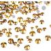 Quesuc 3456 Pieces Nail Crystals AB Nail Art Rhinestones Round Beads Flatback Glass Charms Gems Stones 6 Sizes for Nails Decoration Makeup Clothes Shoes (Gold Mixed SS4 5 6 8 10 12) - Buy Online on GoSupps.com