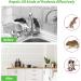 MAGIC CAT 20 Pack Peppermint Oil Rodent Repellent Balls - Natural Mouse Away for Car Engines, RV, Closet, Garage, Home - Pet Safe Rodent Control Solution - Buy Online on GoSupps.com
