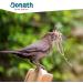Buy DONATH Energy Hemp Dumplings for Wild Birds - 100g | Premium All-Year Feed from Southern Germany - 50 Pack - Buy Online on GoSupps.com