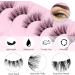 Oreola Half Lashes Kit Clear Band with Bond&Remover Wispy False Eyelashes Natural Look Cat Eye Lashes 10 Pairs 3/4 Corner Lashes Reusable Fake Lashes - Buy Online on GoSupps.com