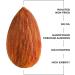 THE EDIBLES Roasted California Almonds 250 gm | Lightly Salted Crunchy Dry Roasted Zero Oil Non Fried_Packing May Vary - Buy Online on GoSupps.com