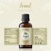 Organic Fennel Essential Oil for Digestion Sweet Fennel Seed Oil for Congestion Relief & Uplift Mood 100% Pure Undiluted Therapeutic Grade for Aromatherapy Glowing Skin Strengthened Hair 1oz Fennel 1 Fl Oz (Pack of 1) - Buy Online on GoSupps.com