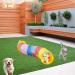 Interactive Cat Tunnel Toy for Indoor Cats - Collapsible S-Style Rainbow Tunnel for Kittens, Rabbits, and Puppies - Buy Online on GoSupps.com