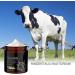  zjhukfmc 120g of organic beef tallow cream beef tallow cream for skin care beef honey balm grass-based moisturizing sebum elastic body cream sebum cream - Buy Online on GoSupps.com