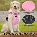 Eyin Large Dog Harness - Adjustable Breathable Reflective & Padded for Daily Training | Pink (L) - Neck 42-60cm Chest 47-86cm - Buy Online on GoSupps.com
