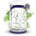Magtein Magnesium L-Threonate Capsules | 90 Count | Mineral Supplement | Natural Nootropic | Supports Mitochondrial Function | Boosts Energy and Cognitive Function 90 Count (Pack of 1)
