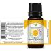 Buy Plant Therapy Chakra 3 Self Manifestation Synergy 10 mL - 100% Pure Therapeutic Grade Essential Oil for Solar Plexus | International Shipping Available - Buy Online on GoSupps.com