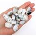 Balance 50g Natural Rare White Moon Tumbled Crystal Rock Specimen Collection Natural s and Minerals Generator Generator - Buy Online on GoSupps.com
