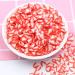 3D Fruit Slices Nail Art & Slime Decorations - 7 Fruit Styles - Buy Online on GoSupps.com