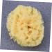 Didiseaon Sponges Bath Sponge Bath Shower Sponge Seaweed Sponge Honeycomb Algae Sponge Baby - Buy Online on GoSupps.com