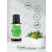 Horbaach Peppermint Essential Oil - 15mL | Pure and Refreshing - Buy Online on GoSupps.com