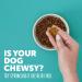 Premium Dog Food for Adults (1-7 Years) | Nutritious & Balanced Diet - Buy Online on GoSupps.com