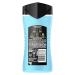 AX 3-in-1 Shower Gel & Shampoo ICE Chill Long-Lasting Freshness & Fragrance Dermatologically Tested 250 ml - Buy Online on GoSupps.com