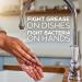 Dawn Ultra Antibacterial Hand Soap - Orange Scent Dishwashing Liquid 40 Oz | International Shipping Available - Buy Online on GoSupps.com