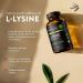 Mt. Angel Vitamins - Premium L-Lysine 500mg Capsules Vegan-Friendly Essential Amino Acid Supports Immune System & Collagen Formation Non-GMO 60 Capsules 60 Count (Pack of 1) - Buy Online on GoSupps.com