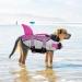 AIITLE Shark Dog Life Vest for XL Dogs - Pink - High Buoyancy Dog Flotation Vest for Water Sports - Buy Online on GoSupps.com