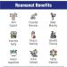 Reumanat Joint Support Supplement - 60 Capsules, 100% Herbal by Natural Systems | Joint and Bone Strength for Active Men and Women - Relief from Joint Discomfort - Buy Online on GoSupps.com