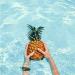 PURE FIJI Hydrating Body Lotion - Pineapple 12 oz (Pack of 1) - Buy Online on GoSupps.com