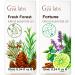 Fresh Forest Essential Oil Blend Diffuser & Fortune Essential Oil for Diffuser Set - Aromatherapy Grade Essential Oils Set - 2x0.34 fl oz - Gya Labs