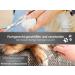Exclusive Curved Fur & Dog Hair Scissors (11.5 cm) - Precision Grooming Tools for Pets - Buy Online on GoSupps.com