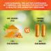 Joint Support Turmeric Supplement Curcumin with Black Pepper (BioPerine) for Enhanced Absorption 95% Curcuminoids High Potency Organic Turmeric Capsules Made in USA 60 Count - Buy Online on GoSupps.com