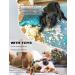 Decyam 10-Pack Puppy Cotton Rope Dog Toys - Interactive Squeaky Toys for Small Dogs | Boredom Busters & Dental Health - Buy Online on GoSupps.com