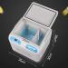 Portable Fridge Insulin Refrigerated Box Car Travel Home Mini Medicine Refrigerator and Insulin Cooler USB Charging 12 L Silent Thermostat with Digital Display - Buy Online on GoSupps.com