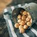 Deliano Roasted Hazelnuts IGP - Whole Shelled Tonda Gentile Natural 250g & Chocolate 250g | Premium International Shipping - Buy Online on GoSupps.com