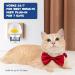 Cjztp Cat Calming Diffuser Enhanced Cat Pheromones Diffuser Starter Kit for 30 Days Supply Cat Anxiety Stress Relief to Reduce Fighting Scratching 48ml - Buy Online on GoSupps.com