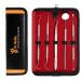 Dental Plaque and Tartar Removal Tool Kit - Professional Stainless Steel Hygiene Instruments for Dental Care - Buy Online on GoSupps.com