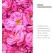 Altenya Bio Rosenwasser Spray 250ml - 100% USDA Organic Damascus Rose Water | Pure Flower Water for Skincare | Altenya Organics - Buy Online on GoSupps.com