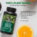 PlantFusion Vegan Complete Immune Support - 60 Lozenges | Boost Your Immunity - Buy Online on GoSupps.com